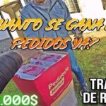 ¿Cuánto se gana con Pedidos Ya en 2026? Ingresos reales por día, semana y mes
