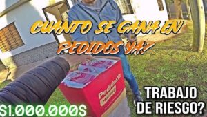 Cuánto se gana con Pedidos Ya