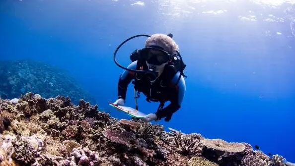 ¿Cuánto se gana en biología marina? 