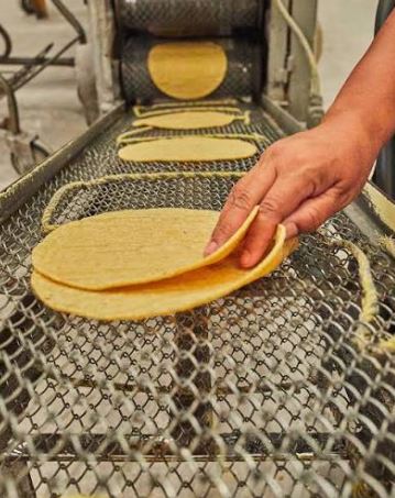 ¿Cuánto gana una tortillería al mes?